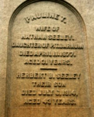pauline taylor seeley|P. T. Barnum and Family .